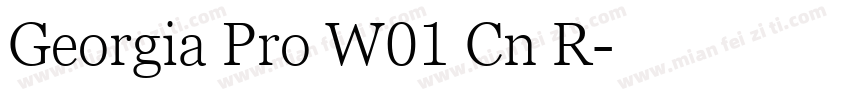 Georgia Pro W01 Cn R字体转换